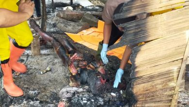 Photo of Polresta Deli Serdang Terus  Memburu Pembunuh Ngesil Tarigan yang Tewas Dibakar di Gunung Meriah