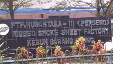 Photo of Petugas Keamanan Kantor Direksi PTPN 3 Gagalkan Pencurian Getah Sheet Pabrik Karet Sarang Giting Berskala Besar