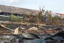 Photo of Kandang Hangus Terbakar, 5 Ribu Ayam Mati Terpanggang