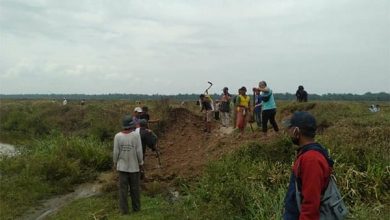 Photo of Lahan Dikuasai Eks PTPN IX Kembali Digarap Petani