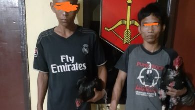 Photo of 2 Pencuri Sepasang Ayam Siam Masuk Penjara