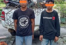 Photo of Dua Anak Pulau Gambar Maling Sawit di Kebun Adolina Diamankan Polisi Perbaungan