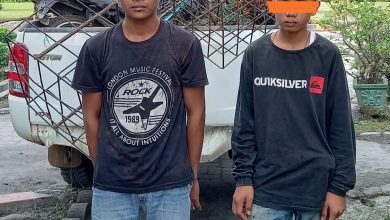 Photo of Dua Anak Pulau Gambar Maling Sawit di Kebun Adolina Diamankan Polisi Perbaungan
