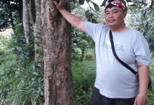 Photo of Mahar dan Ikhtiar Batin