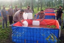 Photo of Kapolres Jarot Bersama PJU Tabur Benih Ikan Lele 24 Ribu Ekor di Kolam Bioblox 