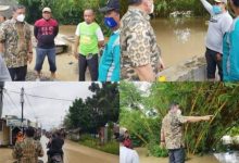 Photo of Wabup Deli Serdang Tinjau 2 Desa  di Hamparan Perak yang Disapu Banjir