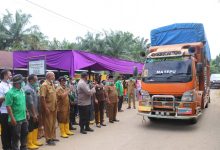 Photo of Wabup Zarnawi Tinjau dan Lepas Hasil Produksi Pepaya California di Kecamatan Sosa Timur