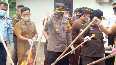 Photo of Kapolres Apresiasi Kajari Padanglawas Musnahkan BB Hasil Kejahatan Kasus Narkoba