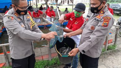 Photo of Kapolres Palas Panen Ikan Lele, Hasilnya Dibagikan kepada warga Desa