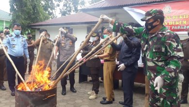 Photo of Kejaksaan Negeri Palas Musnahkan BB Kasus Narkoba, Pencurian dan Perjudian