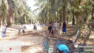 Photo of Warga Kampung Kantil Pulau Tagor Gotong royong Meratakan Jalan