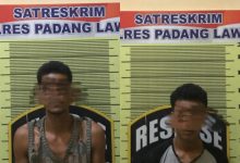 Photo of Tertangkap Tangan Mencuri Buah Sawit ,Dua Warga Bulusonik Masuk Bui
