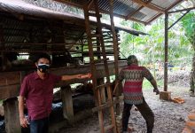 Photo of Kakek Lansia, Akhiri Hidupnya dengan Gantung Diri