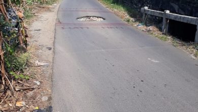 Photo of Jalan Aspal Belakang Pabrik Pakan Ternak Dibiarkan Berlubang 