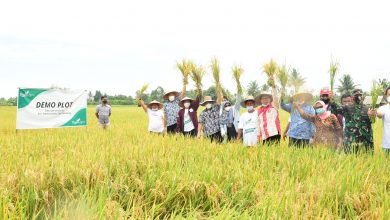 Photo of Wabup DS Beri Apresiasi Daun Agro atas Dukungannya kepada Pertanian Deli Serdang