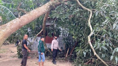Photo of 26 Unit Rumah Warga  dan 1 Masjid Di Ulu Barumun Diterjang Angin Puting Beliung