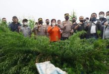 Photo of Bupati Karo Apresiasi Pengungkapan Kasus Narkoba