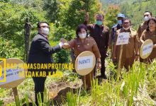 Photo of Bibit Bunga Bantuan Dari Dirjen Perbendaharaan Sumut Diberikan Bupati Karo KeTaman Seribu Bunga Desa Raya