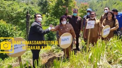 Photo of Bibit Bunga Bantuan Dari Dirjen Perbendaharaan Sumut Diberikan Bupati Karo KeTaman Seribu Bunga Desa Raya