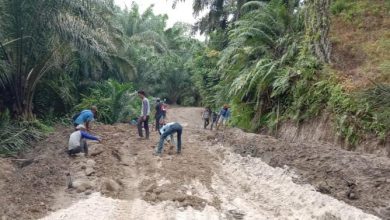 Photo of Begini Antusiasnya Warga Bantu Ratakan Badan Jalan di Lokasi TMMD Kodim 0204/DS