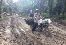 Photo of Cuaca dan Medan Ekstrim Bukan Penghalang Bagi Satgas Kejar Target TMMD Kodim 0204/DS