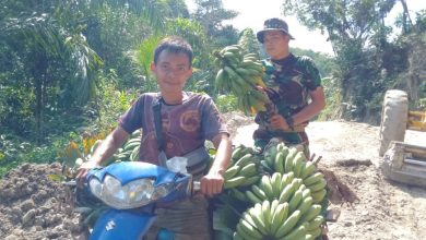 Photo of Satgas TMMD ke-111 Kodim 0204/DS borong hasil panen masyarakat