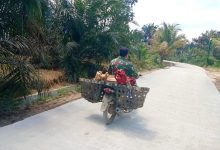 Photo of Jalan Cor TMMD 111 Kodim 0204/DS Nyaman dan Aman Dilalui