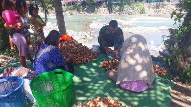 Photo of Disela Waktu Istirahat, Anggota Satgas TMMD Kodim 0204/DS Bantu Membersihkan Hasil Panen Warga