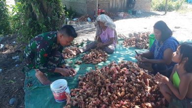 Photo of Anggota Satgas TMMD Kodim 0204/DS: Warga Dusun Ini Sudah Seperti Keluarga Sendiri