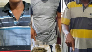 Photo of Dimasa Pandemi,Peredaran Narkoba Tetap “Marak”,Tiga Pemilik Ganja Dilinting Polisi Dari Dalam Gubuk