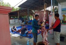 Photo of Bupati LIRA DS Qurban 2 Ekor Lembu,  Dagingnya Dibagikan  kepada Warga Kurang Mampu