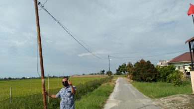 Photo of PLN Gunakan Tiang Listrik tidak Standar di Desa Pasar Melintang