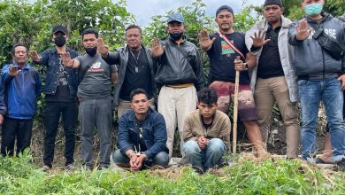 Photo of Tanaman Ganja 26 Batang Antarkan Dua Sitepu Kebalik Jeruji