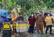 Photo of Panen Madu,Bupati Karo:Peternak Lebah Madu Akan Dikembangkan Melalui Dinas Pertanian Dan Koperasi