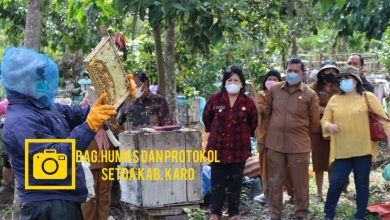 Photo of Panen Madu,Bupati Karo:Peternak Lebah Madu Akan Dikembangkan Melalui Dinas Pertanian Dan Koperasi
