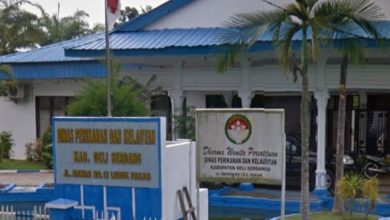 Photo of Usai Dilapor ke Polda Dinas Kelautan Deli Serdang Kembalikan Uang Rp 91,4 Juta