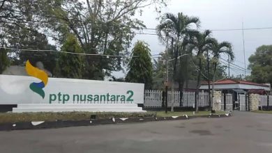 Photo of PTPN2 Keberatan Jalan Kebun Mau Diaspal Pemkab Deli Serdang