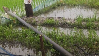 Photo of Tiang Listrik Tumbang Resahkan Warga Beringin