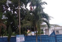 Photo of Kontraktor Dinas Perkim Deli Serdang Pasang Papan Proyek di Pohon Pinang