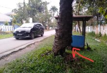 Photo of Banyak Pohon Sawit Lapuk di Seputaran Kantor Bupati Deli Serdang