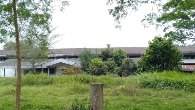 Photo of Gedung KIR Dishub Sumut di Lubuk Pakam tidak Terurus dan Ditumbuhi Belukar