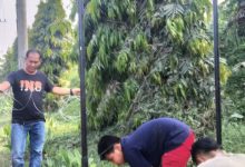 Photo of BKM Al Hidayah Desa Pasar Melintang Pasang Papan Penunjuk Lokasi Mesjid