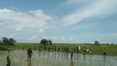 Photo of Penjelasan Kodam Terkait Kericuhan Anggota TNI dengan Petani di Deliserdang Sumut