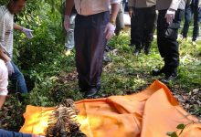 Photo of Diduga Korban Pembunuhan,Tengkorak Manusia Berjenis Laki-Laki Ditemukan Warga Didalam Parit Jalan