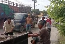 Photo of Anggota Dewan dan Calon Kades Pasar Melintang Rutin Timbun Jalan Rusak Depan Kodim Deli Serdang