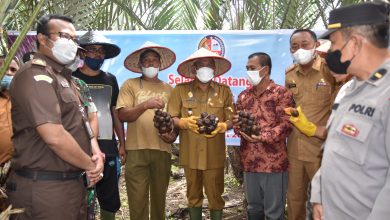 Photo of Bupati Deli Serdang Hadiri Guro-Guro Aron Ate Tedeh di Desa Namo Mirik