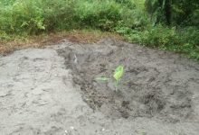 Photo of Lanjutan Makam Kapolsek Dibongkar, Presidium GM FKPPI Menilai Kades Pasar Melintang Lecehkan Institusi Kepolisian