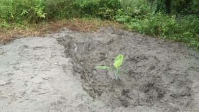 Photo of Lanjutan Makam Kapolsek Dibongkar, Presidium GM FKPPI Menilai Kades Pasar Melintang Lecehkan Institusi Kepolisian