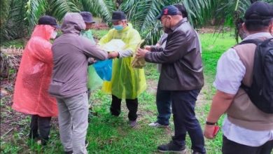 Photo of Kejaksaan Panggil Ahli dari IPB Untuk Tuntaskan Kasus Mafia Tanah di Langkat