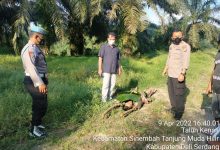 Photo of Ditemukan Mayat Wanita Tanpa Identitas di Pantai Sebayak Talun Kenas